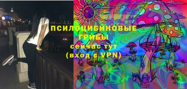 гидропоника Чита